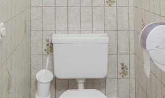 A simple bathroom with a white toilet. The walls are designed with ceramic tiles in light colors.