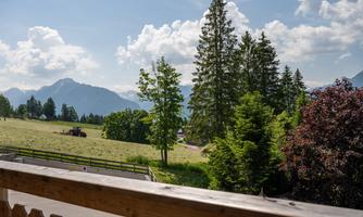 A picturesque landscape with green meadows and tall trees. In the background, mountains and a blue sky with white clouds are visible.