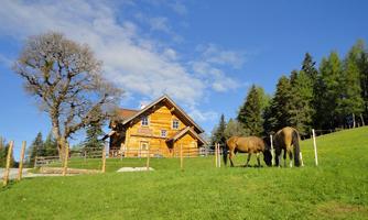 A picturesque wooden house surrounded by green meadows and trees. Two horses are peacefully grazing in the foreground.