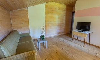 A simply furnished living space with wood paneling and a sofa. In the corner stands a television on a small table.