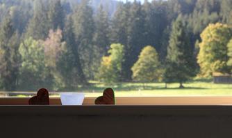 A windowsill with two heart figures and a small white bowl. In the background, there are trees and a meadow.