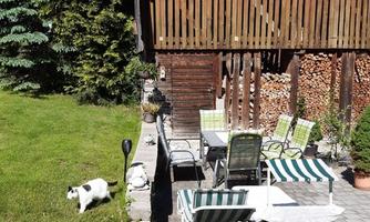 A cozy outdoor area with garden furniture and a white cat. In the background, trees and a woodpile can be seen.