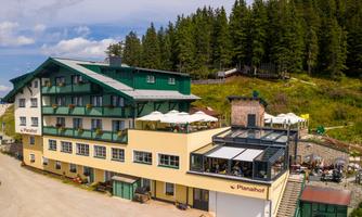 A modern hotel with a green facade, surrounded by trees. On the terrace, guests can enjoy the view.