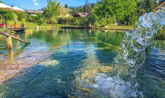 A tranquil pond with clear water and a bubbling waterfall. Surrounded by trees and green vegetation.
