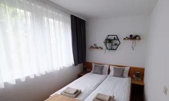 A bright room with two single beds and a wooden desk. Window curtains let in plenty of daylight and create a cozy atmosphere.