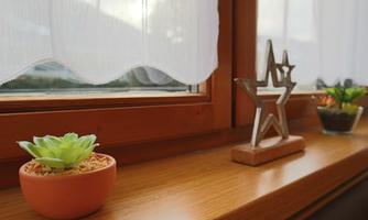 A windowsill with a small pot of green plant and a decorative wooden star. The room is brightly lit and feels cozy.