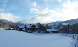 A winter landscape with snow-covered fields and trees. In the background, mountains and a country house can be seen.