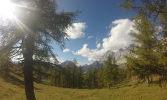 A beautiful mountain landscape with green meadows and tall fir trees. In the background, impressive mountains can be seen under a blue sky with a few clouds.
