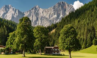 A picturesque landscape with tall mountains in the background and a house in the middle. Dense trees and green meadows surround the scene.