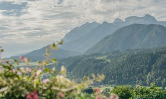 A picturesque mountain landscape with high peaks and gentle hills. In the foreground, colorful flowers are blooming.