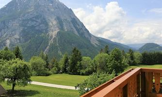 A beautiful view of a tall mountain with snowy peaks. In the foreground, there are green meadows and trees.