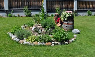 A beautiful, round garden with various herbs and plants. In the background, a person is sitting near a flower pot and a wooden barrel.