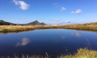 A tranquil lake reflects the surrounding mountains and the blue sky. The grass at the shore adds a natural charm to the idyllic landscape.