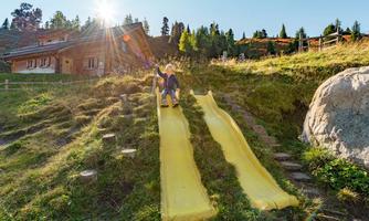 Two children are sliding down yellow slides on a sunny day. In the background, a wooden house and trees can be seen.