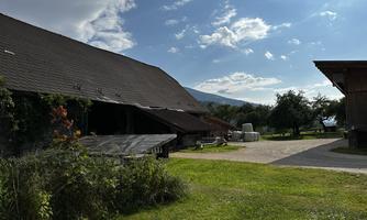 A rural scene with a farm and green areas. In the background, there are trees and a blue sky.
