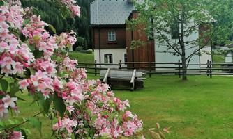 A charming house surrounded by green meadows and blooming flowers. In the background, a picturesque mountain can be seen.