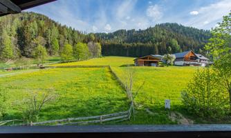 A picturesque landscape with green meadows and blooming flowers. In the background, forests and agricultural buildings are visible.
