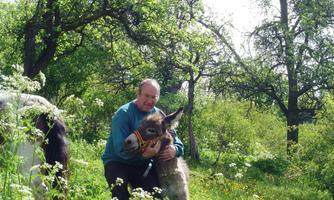 A man is hugging a donkey in a green meadow with trees in the background. The scene radiates a peaceful, rural atmosphere.