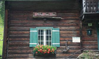 An old wooden house with a window and green shutters. In front of the window, red flowers are blooming.