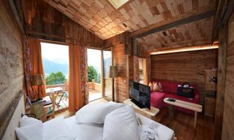 A cozy wooden room with large windows and a view of the mountains. The room is bright and modernly furnished, with a sleeping area and a living room.