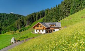 A beautiful, modern house is situated on a green meadow surrounded by trees. In the background, gentle hills with green grass and a blue sky can be seen.