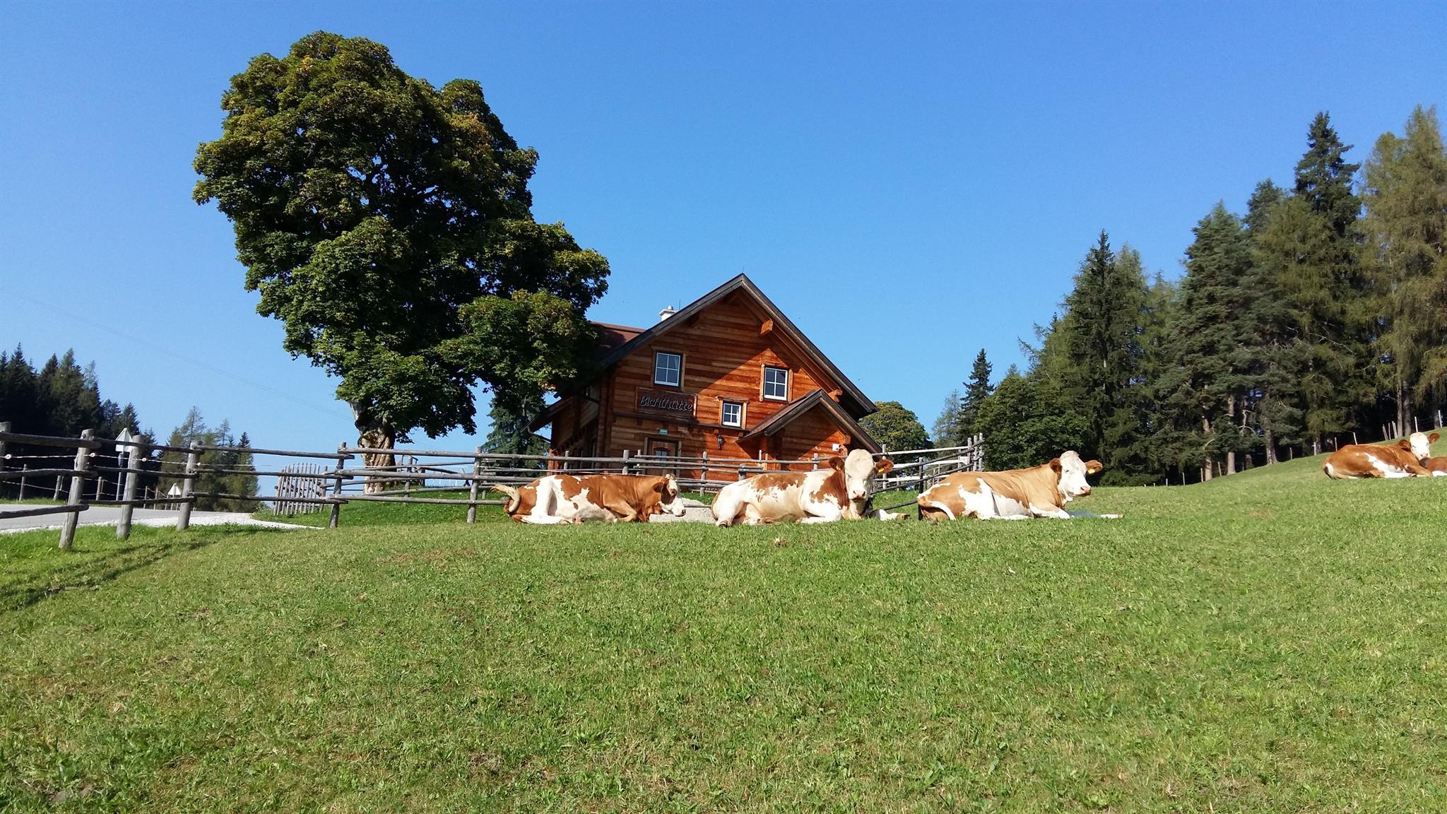 Kirchenbichler Bichlhütte