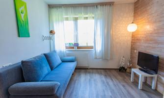 A bright living space with a blue sofa and a television. Large windows provide plenty of daylight.