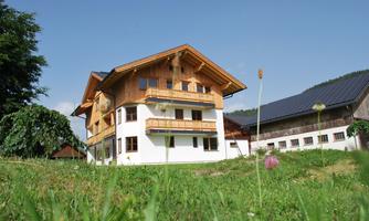 A beautiful house in alpine style, surrounded by green grass. In the background, there are trees and a blue sky.