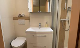 A modern bathroom with a white sink and toilet. The shower is separated, and there is a large mirror above the sink.