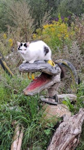 Kunst.Schau.Garten