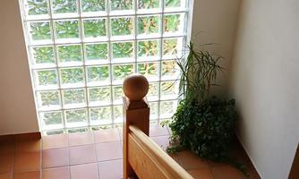 A stairway with a wooden railing and a view of a window made of glass panels. In the background, a plant is visible, creating a pleasant atmosphere.