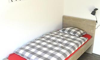 A simple room with a single bed and checkered bed linens. A picture of a deer hangs on the wall, and a modern lamp provides light.