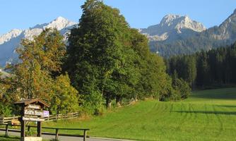 A picturesque section of landscape with green meadows and tall trees. In the background, majestic mountains rise into the clear sky.