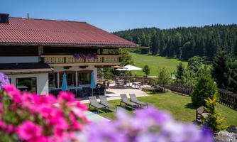 A charming house with a red roof and a green meadow in the background. The surroundings are blooming and inviting, perfect for outdoor relaxation.