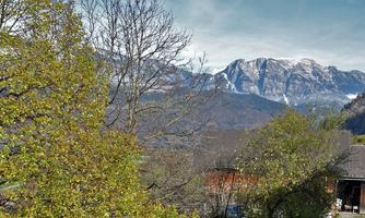 A beautiful landscape with trees and snow-covered mountains in the background. The sky is clear and it is daytime.
