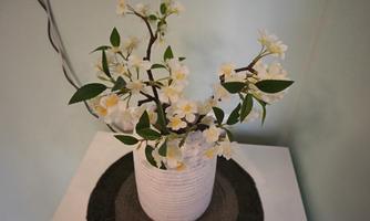 A beautiful bouquet of white flowers in a bright vase. The bouquet is placed on a decorative coaster.