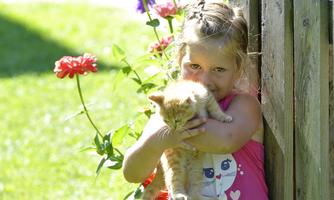 A little girl is holding an orange kitten in her arms. In the background, colorful flowers are blooming.