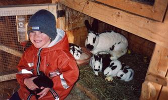 A boy is sitting in a stable and holding a rabbit in his hand. Next to him are several small rabbits with their mother in a cozy nest.