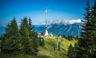 A lookout tower on a mountain with green meadows and coniferous trees. In the background, the Alps and a clear blue sky can be seen.