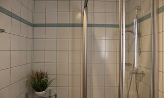 A modern bathroom with a shower cubicle and white tiles. A small plant sits on a shelf.