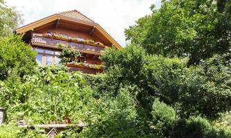 A rustic wooden house surrounded by lush greenery. The garden is full of plants and blooming flowers.