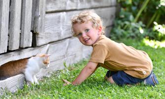A smiling child plays in the grass next to a cat that is peeking out from a wooden enclosure. The scene is friendly and shows a harmonious connection between child and animal.