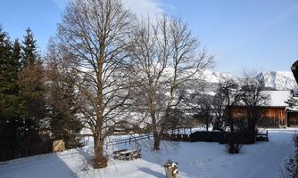A snowy landscape with bare trees and a clear blue sky. In the background, mountains can be seen.