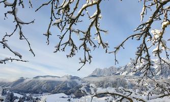 A snowy landscape picture with snow-covered trees and mountains in the background. The sky is clear and blue.
