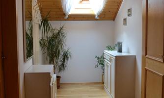 A bright hallway with wooden ceilings and a large window. On the right, there is a small cupboard and a couple of plants.