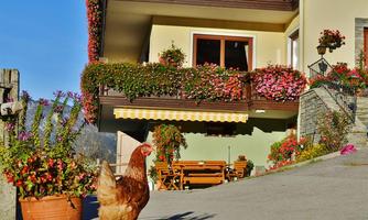 A chicken stands on the grass in front of a flower-adorned building. In the background, terraces with colorful plants can be seen.