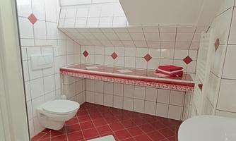 A modern bathroom with a shower, a sink, and a toilet. The walls are tiled and the floor is tiled in red.