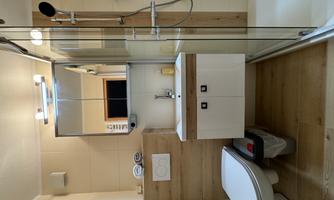 A modern bathroom with a shower area, a sink, and a toilet. The walls are light and the floor is made of wood.