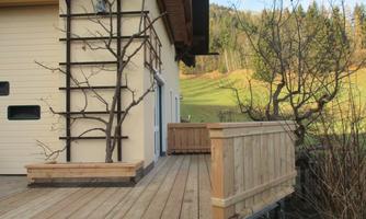 A wooden terrace with a railing and a plant in the background. In the background, you can see a green landscape and trees.