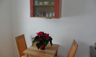 A small table with two chairs is in a corner. On the table is a decorative plant with red flowers.